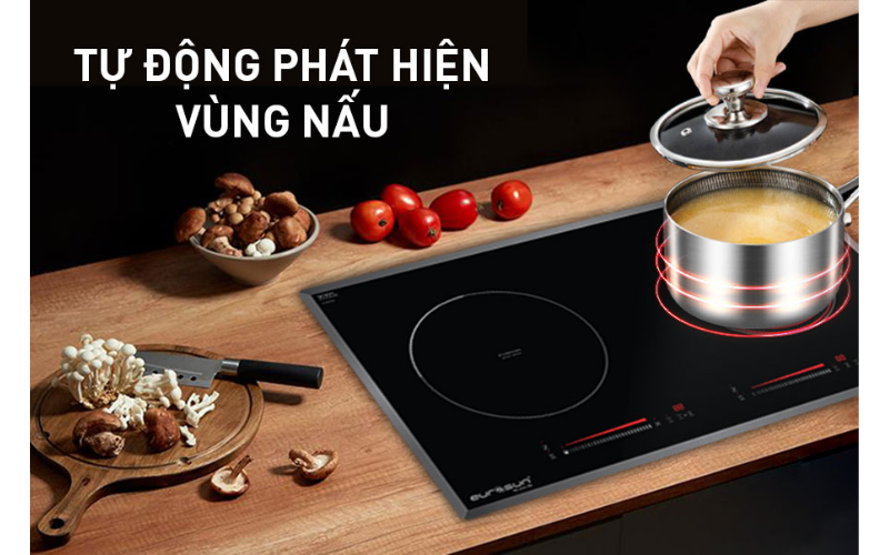 BẾP TỪ EUROSUN EU-TE887G